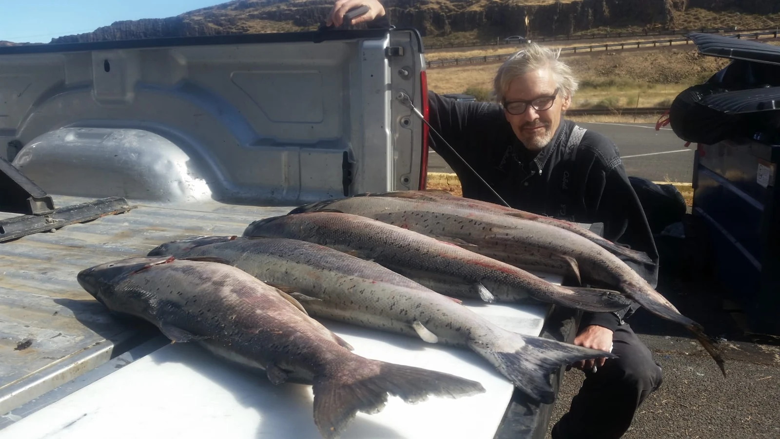Four Chinook laid out on a tailgate with the angler behind them