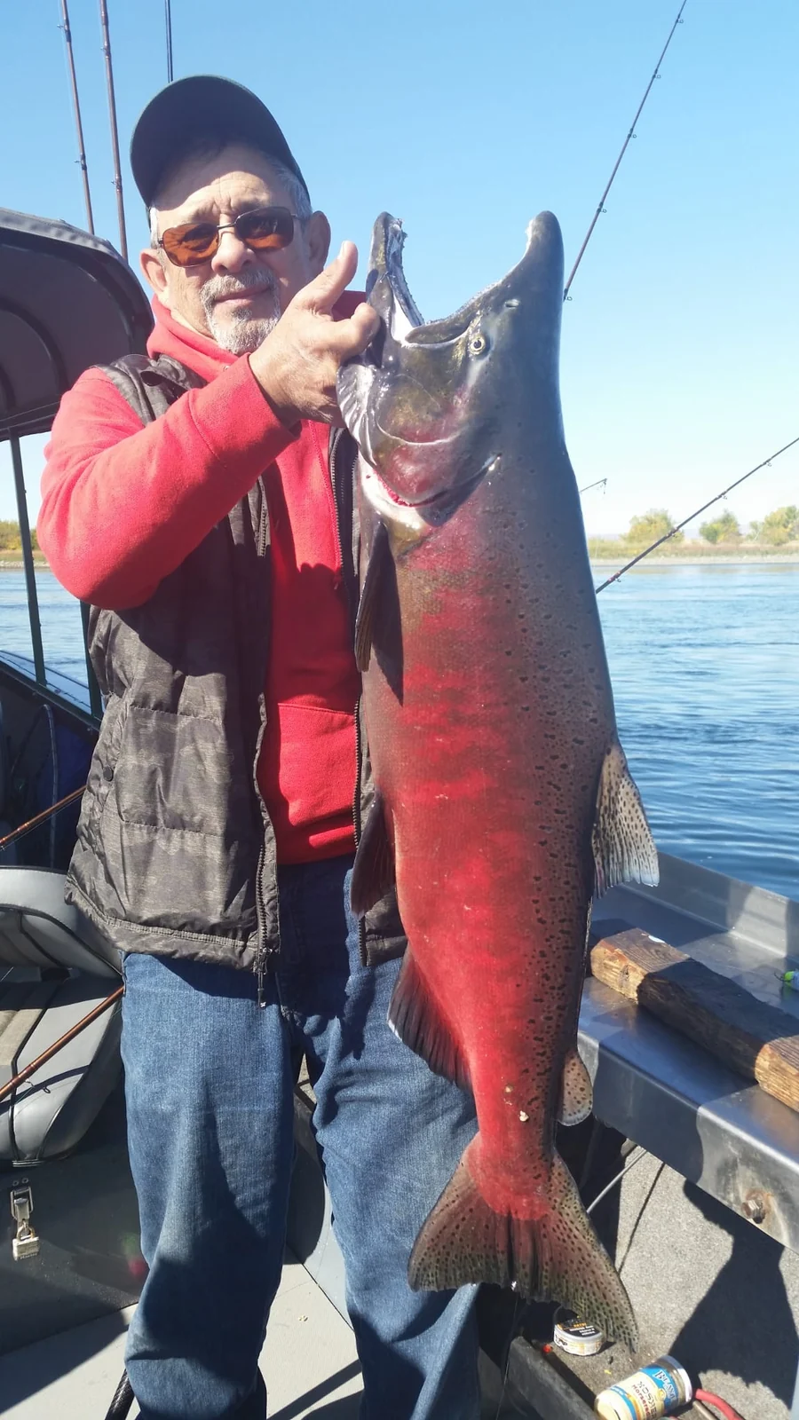 Man in a red jacket holding a red spawning-colour Chinook
