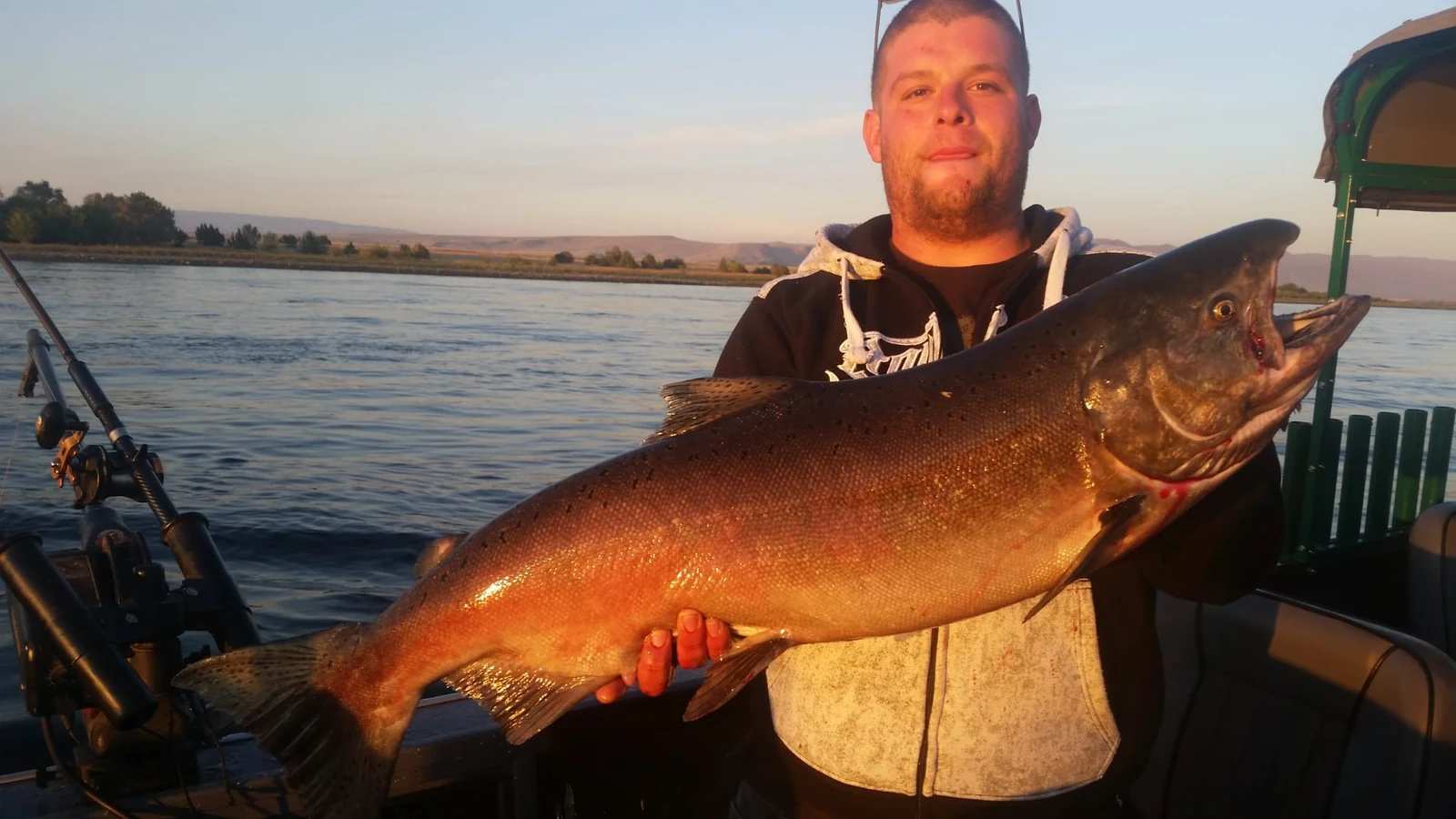 Man holding a big orange fall Chinook in the evening light