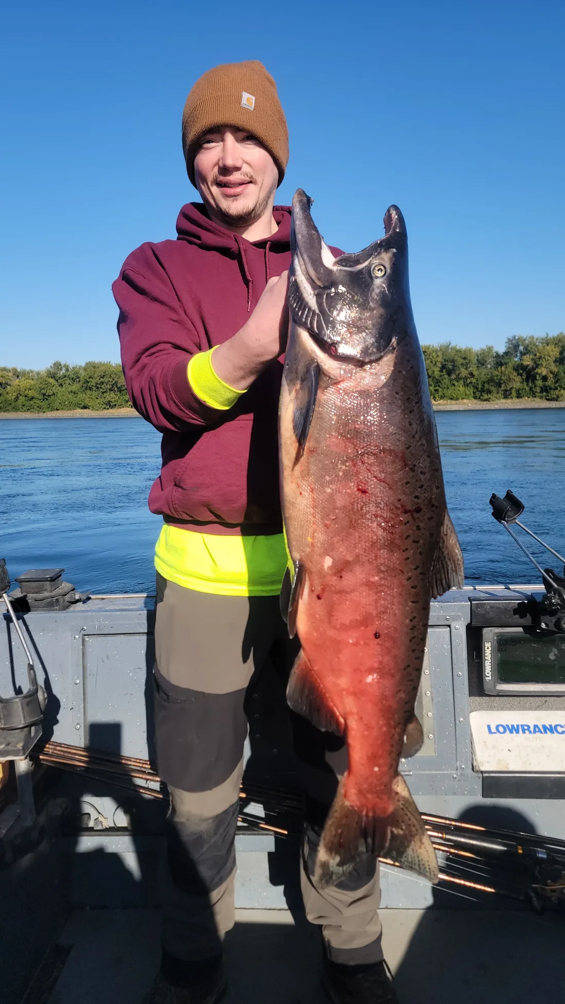 Angler holding a big red king salmon on the boat