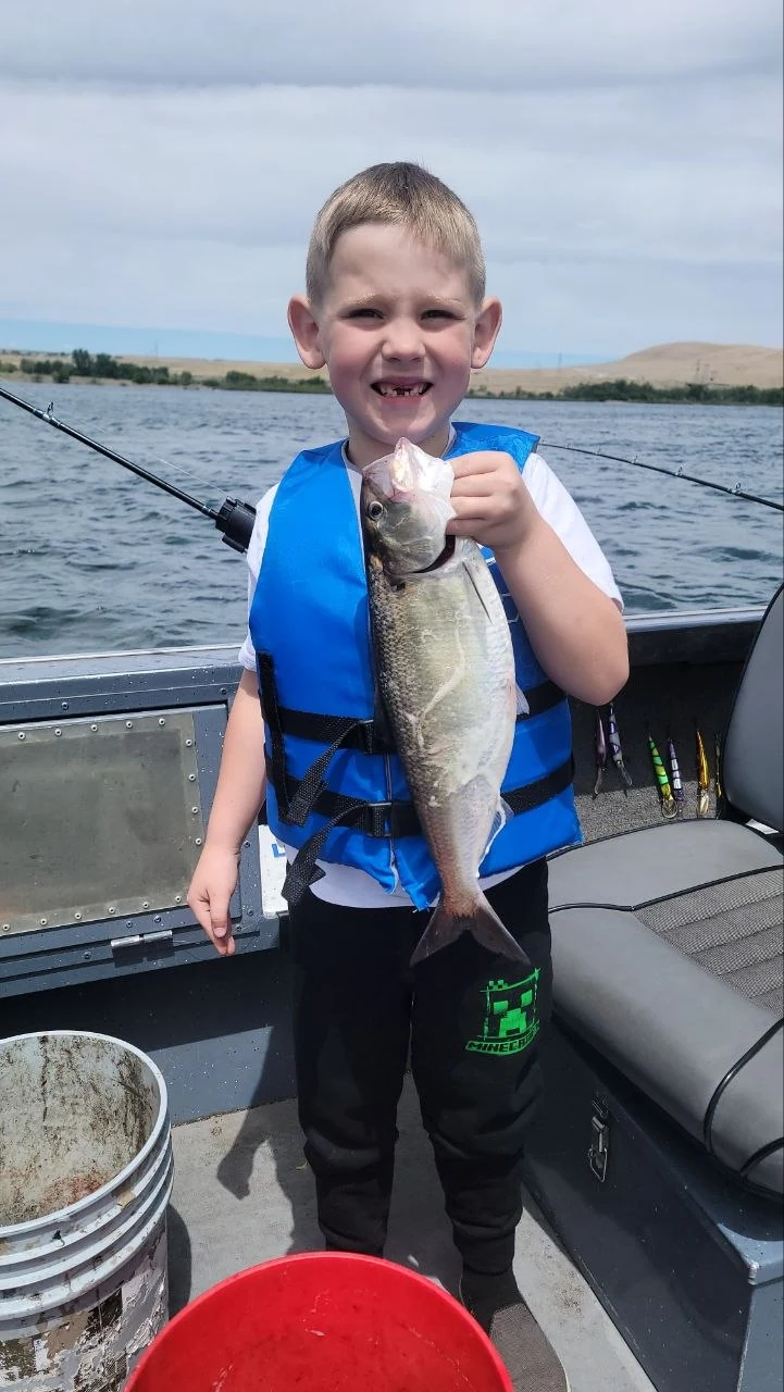 Boy in a blue life jacket holding up a shad