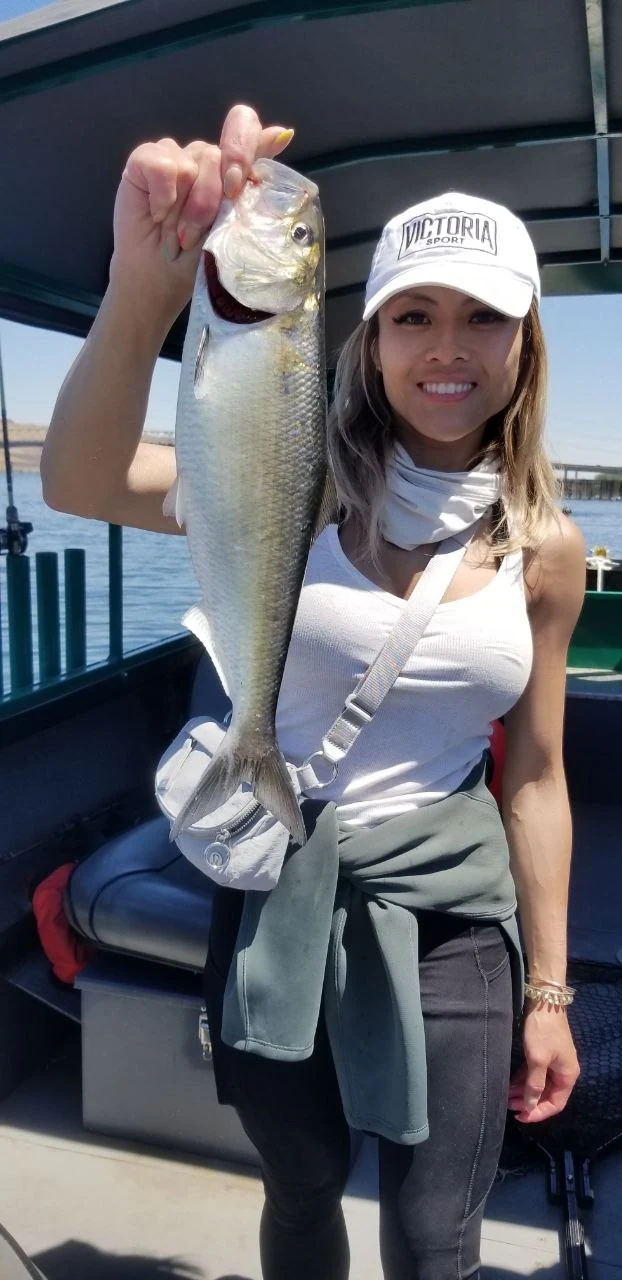 Smiling woman in a white cap holding up a shad inside the boat