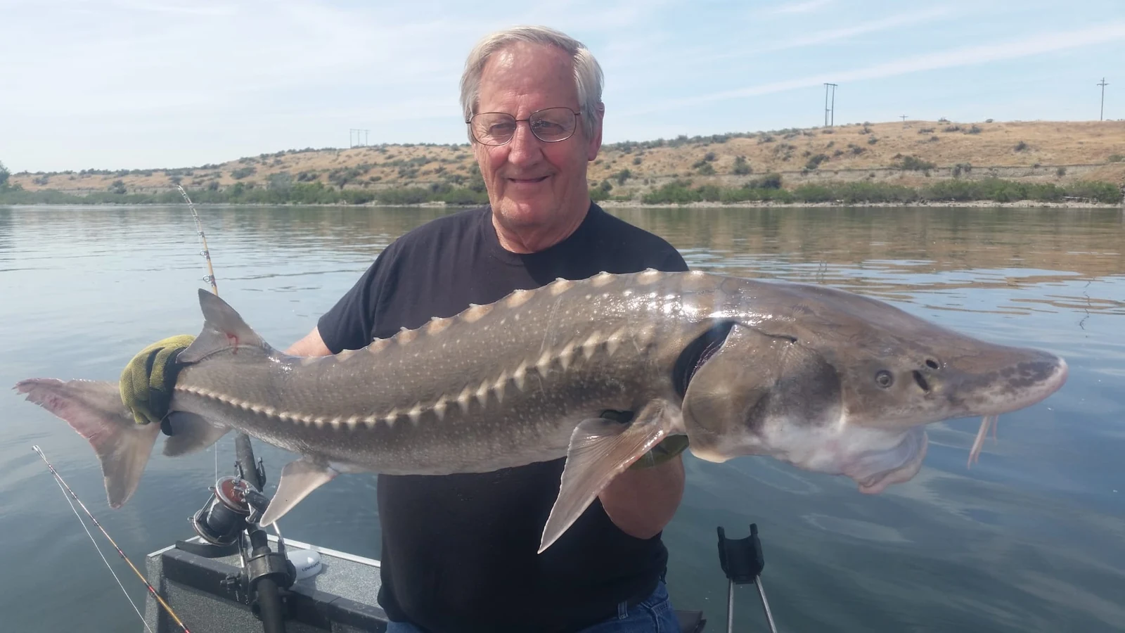 Grey-haired man in a black tee holding a keeper sturgeon