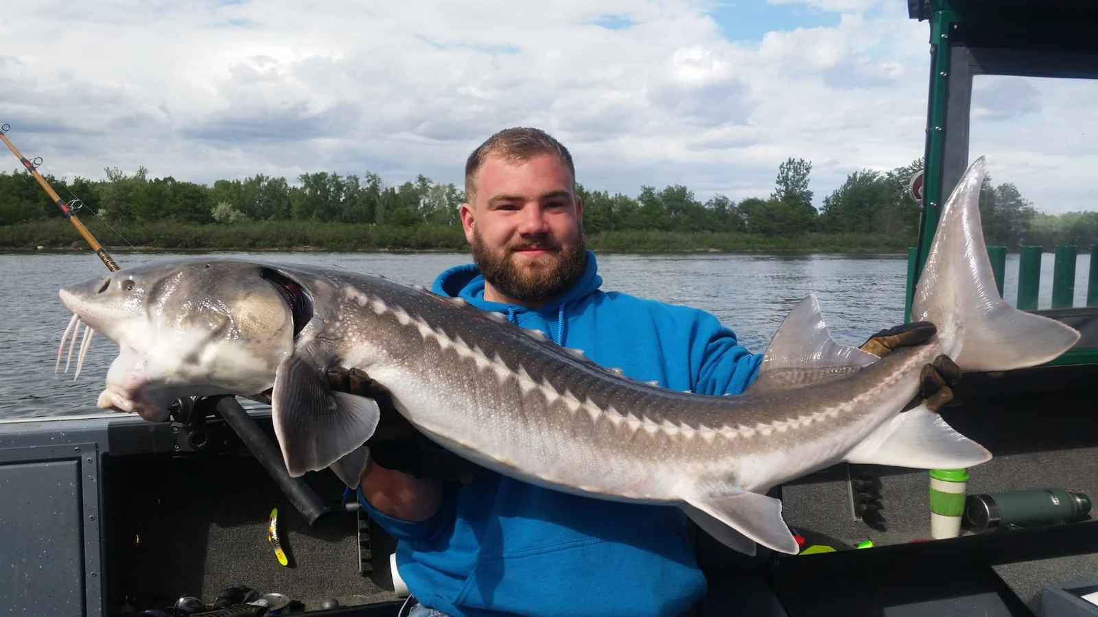 Bearded man in a blue hoodie holding a keeper sturgeon in the cabin boat