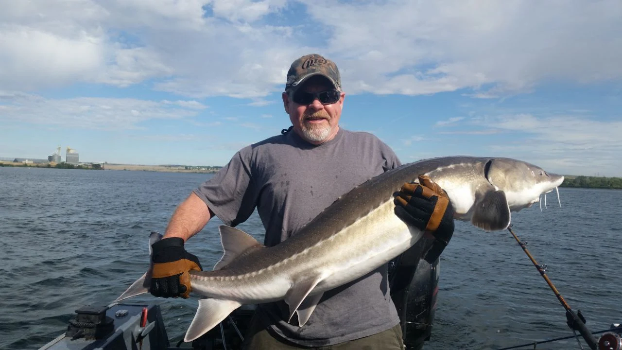 Angler in a grey shirt holding a keeper sturgeon on the boat