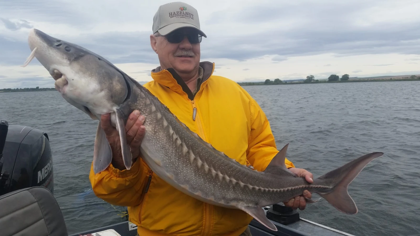 Man in a yellow jacket holding a keeper sturgeon on the river