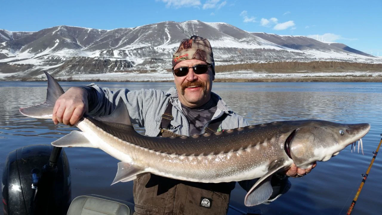 Angler holding a keeper sturgeon in winter, with snow on the hills behind him