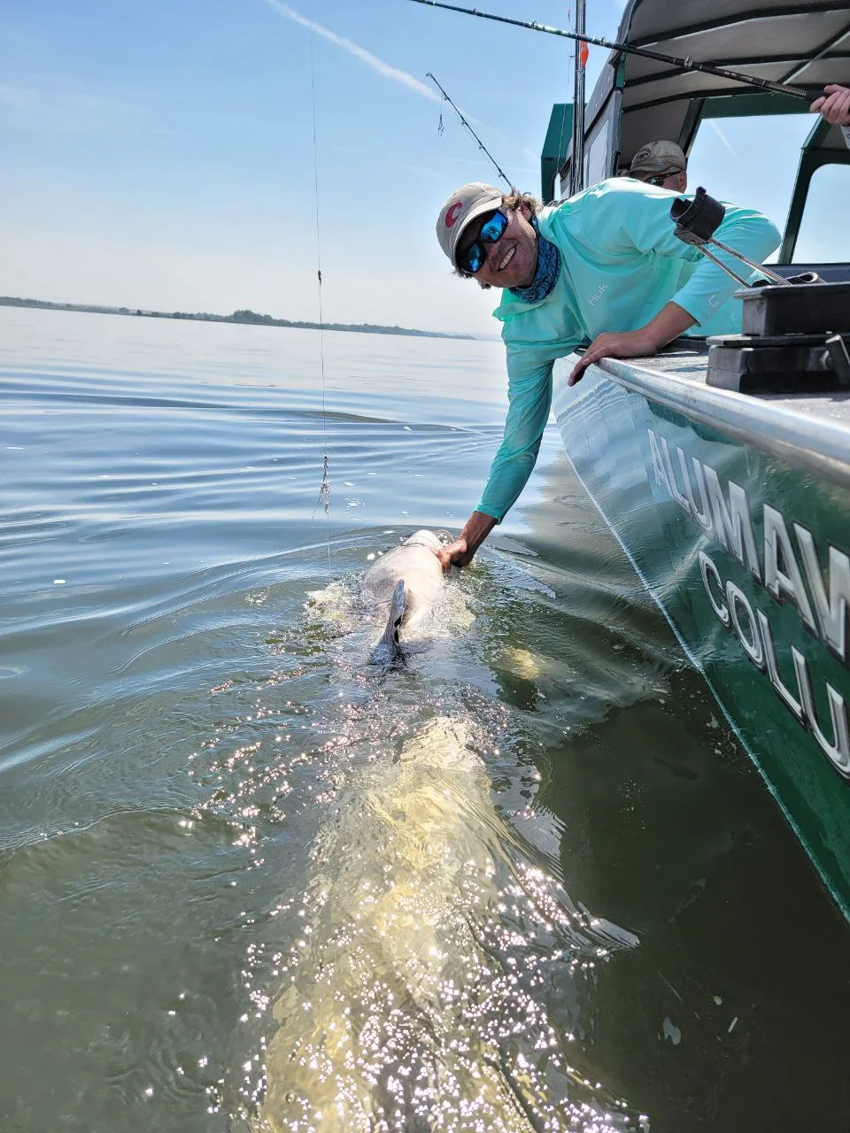 Angler in a teal shirt reaching down to an oversize sturgeon beside the boat