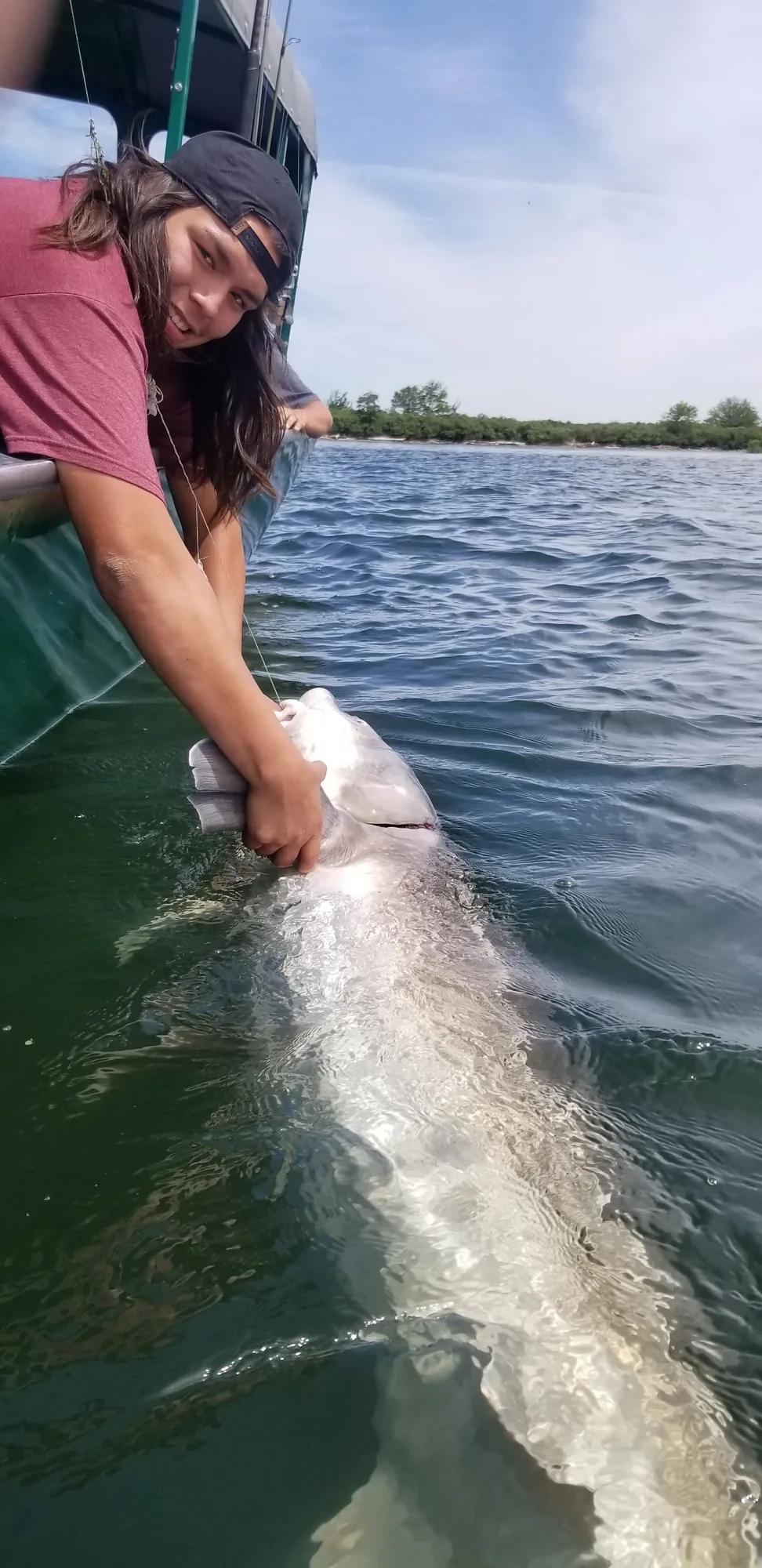 Angler releasing an oversize sturgeon at the boat