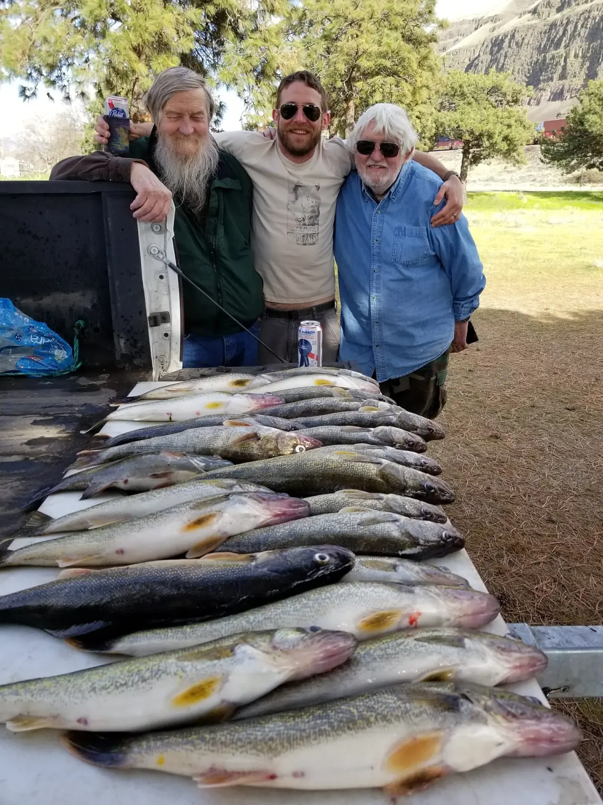 Three anglers behind a long table of walleye in a park by the river