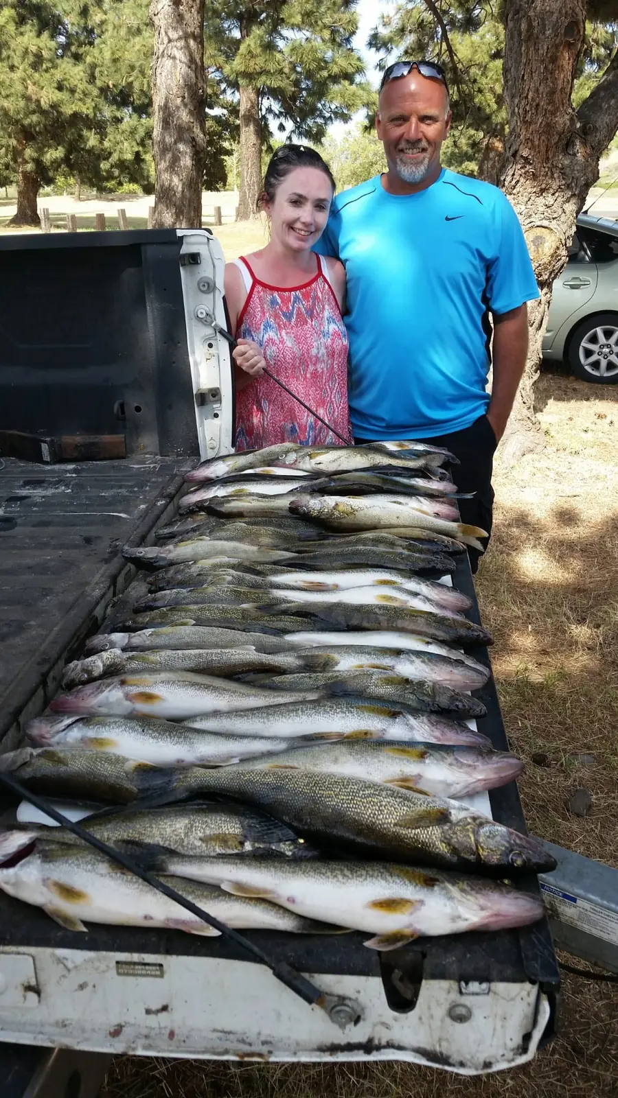 Two anglers behind a pickup bed full of walleye