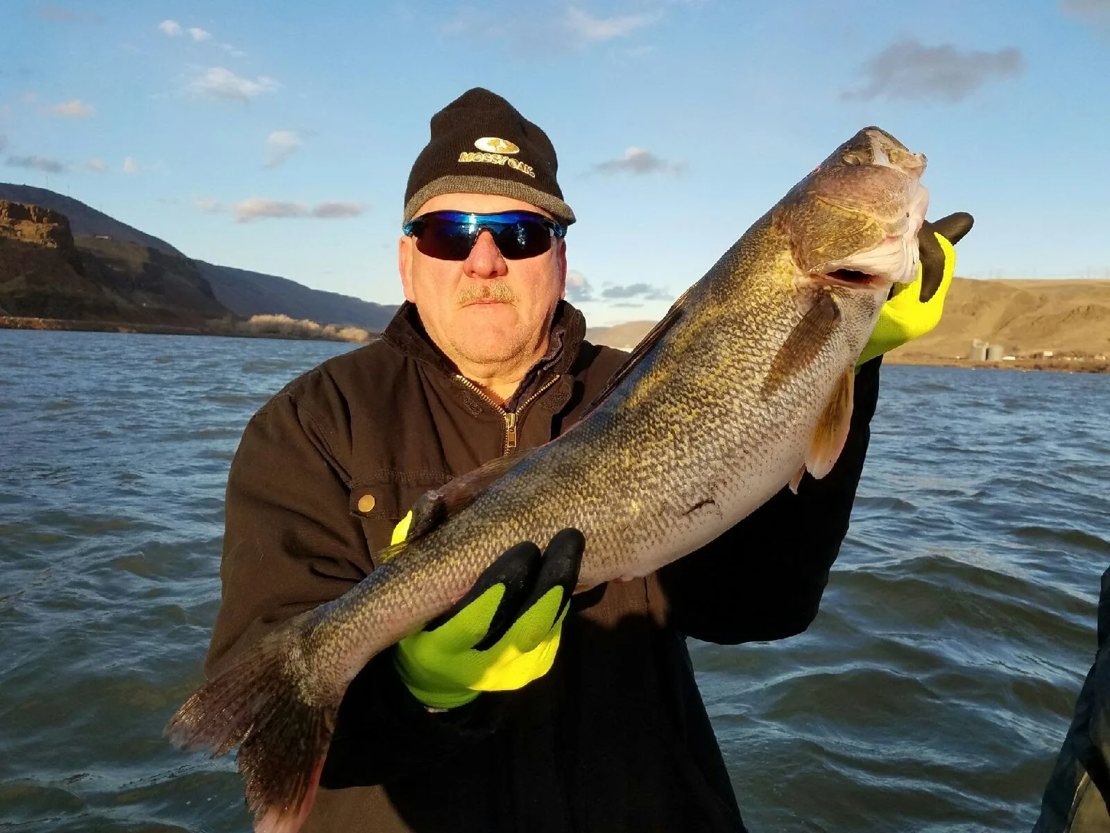 Man in bright yellow gloves holding a big walleye with the gorge hills behind him